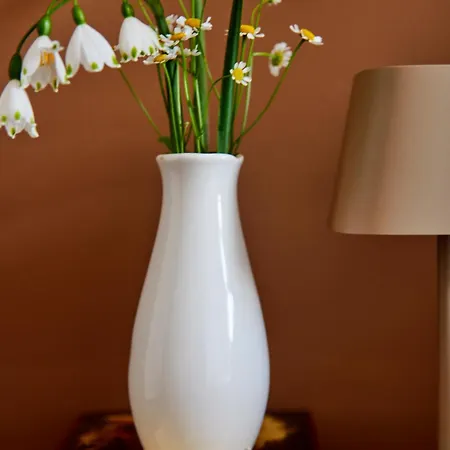 La Dominotte Short 9a Appartement Arcen