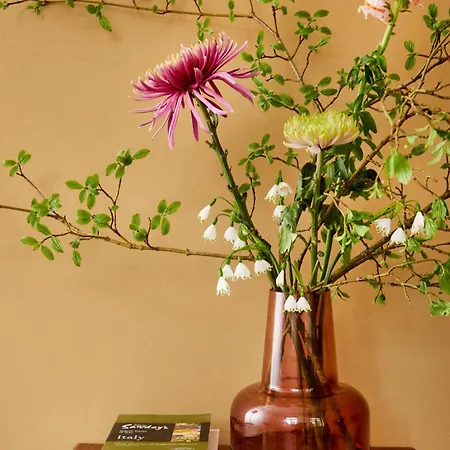 Apartament La Dominotte Short 9a *