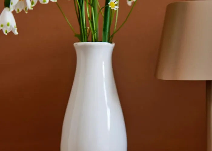 La Dominotte Short 9a Appartement Arcen