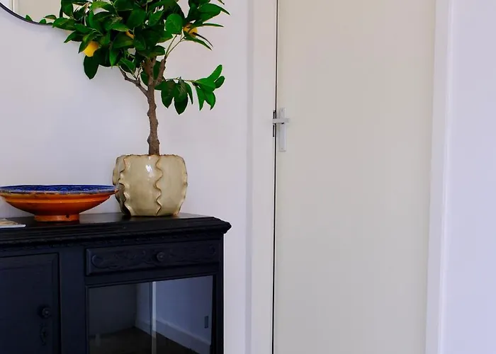 La Dominotte Short 9a *